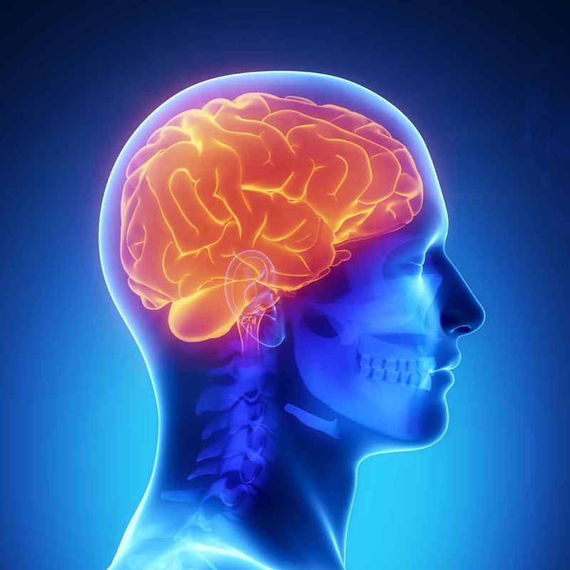 19Parkinson Parkinson