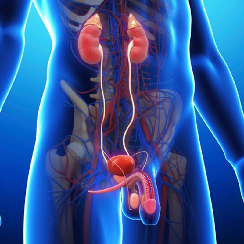 Deficiencia Renal